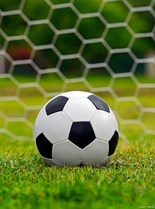 Traffic accident kills 5 Chinese nationals injures 8 in Bali